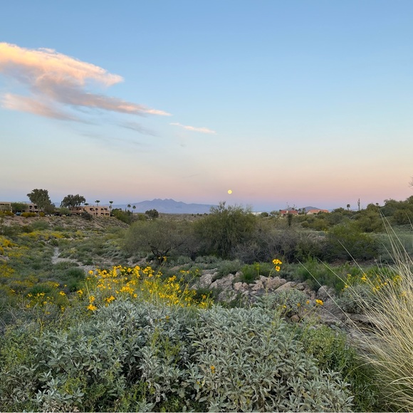 Meet your Posher, Isabelle - Picture 1 of 1